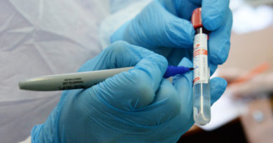 новые случаи коронавируса в Выборгском районе