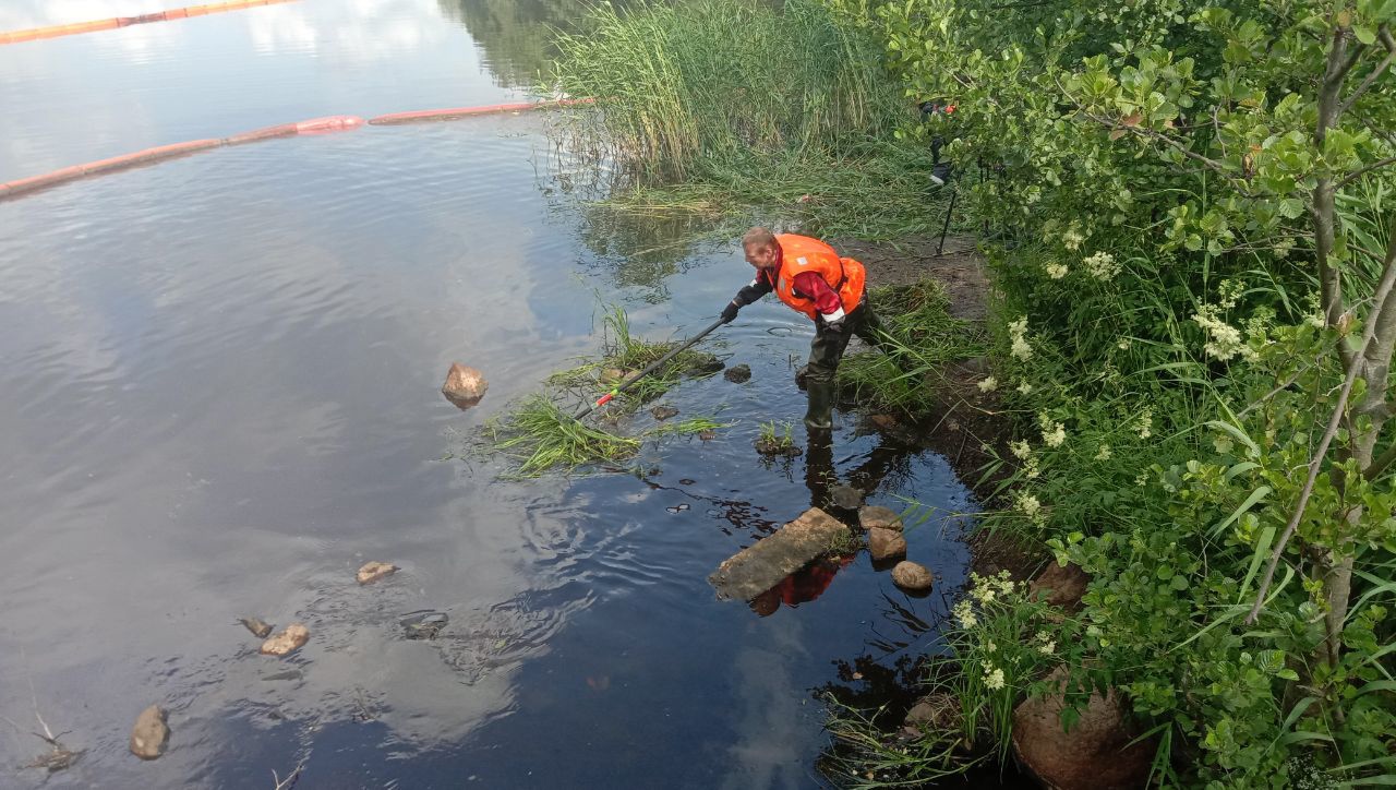 Радуга выборг. Выборг Радуга. Бухта Радуга. Выборг бухта Радуга мост. Бухта Радуга Выборг фото.