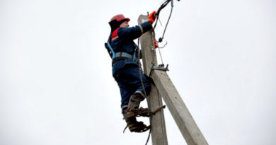 Ленэнерго отчитался о ремонте свыше 5 км высоковольтной линии в Выборгском районе