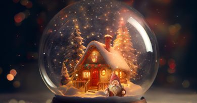https://pixabay.com/ru/illustrations/снежный-шар-сосны-рождество-7651308/