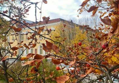 Прогноз погоды в Выборге на 23 октября Прогноз погоды в Выборге на 23 октября