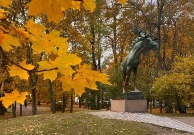 Прогноз погоды в Выборге на 14 октября Прогноз погоды в Выборге на 14 октября