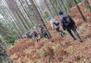 Юные выборгские поисковики работают на Синявинских высотах Юные выборгские поисковики работают на Синявинских высотах