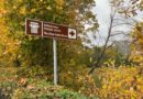 Осенние композиции и хоровая классика в Аалто Осенние композиции и хоровая классика в Аалто