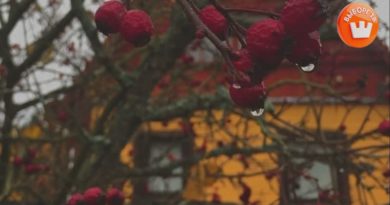 Больше не нужно переплачивать: ЕИРЦ напомнил о льготах для домов с электроотоплением в Ленобласти Больше не нужно переплачивать: ЕИРЦ напомнил о льготах для домов с электроотоплением в Ленобласти
