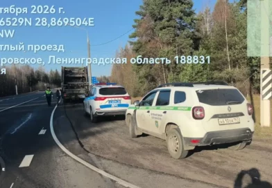 Транспорт с мусором в Выборгском районе попал под статью Транспорт с мусором в Выборгском районе попал под статью