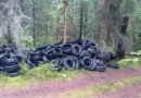 В Заходском нашли свалку покрышек: прокуратура начинает проверку В Заходском нашли свалку покрышек: прокуратура начинает проверку
