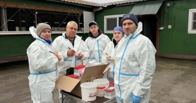 Щит для буренок: ветеринары Выборгского района проверяют коров на опасные инфекции Щит для буренок: ветеринары Выборгского района проверяют коров на опасные инфекции