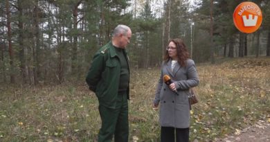 Выборгский охотовед не советует пытаться обнять медведя или сфотографироваться с лосем Выборгский охотовед не советует пытаться обнять медведя или сфотографироваться с лосем