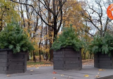 Прогноз погоды в Выборге на 27 октября